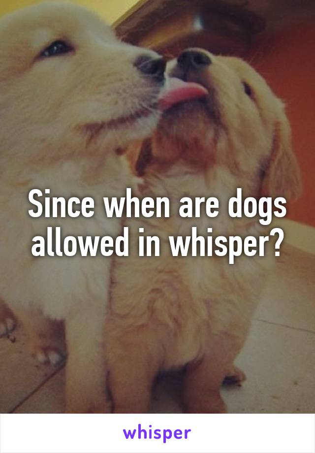 Since when are dogs allowed in whisper?