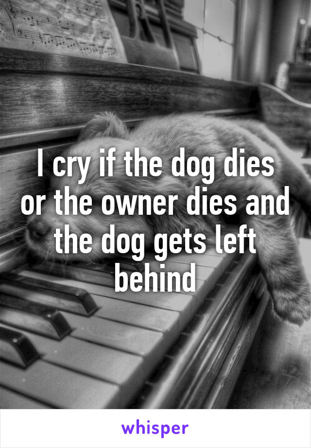 I cry if the dog dies or the owner dies and the dog gets left behind