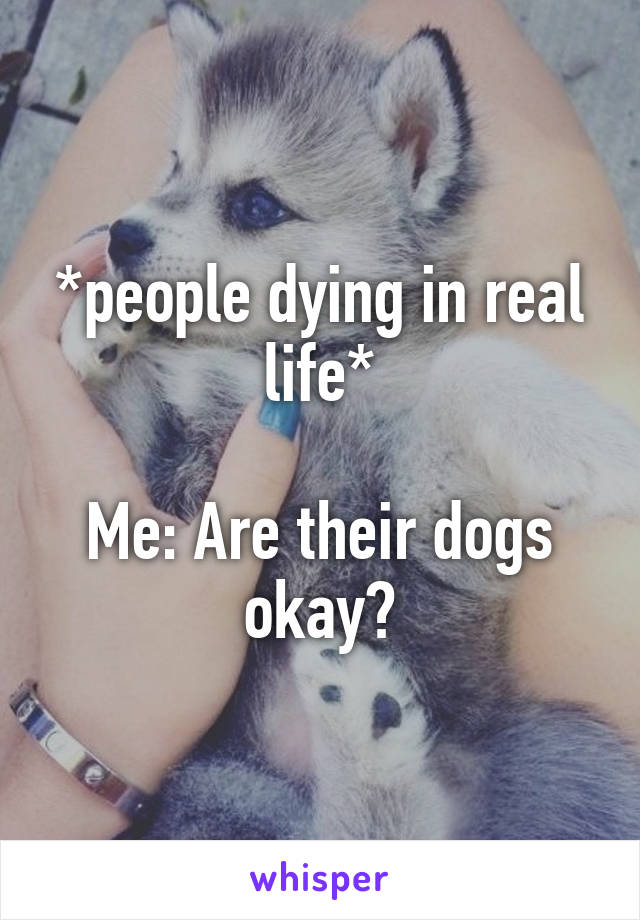 *people dying in real life*

Me: Are their dogs okay?