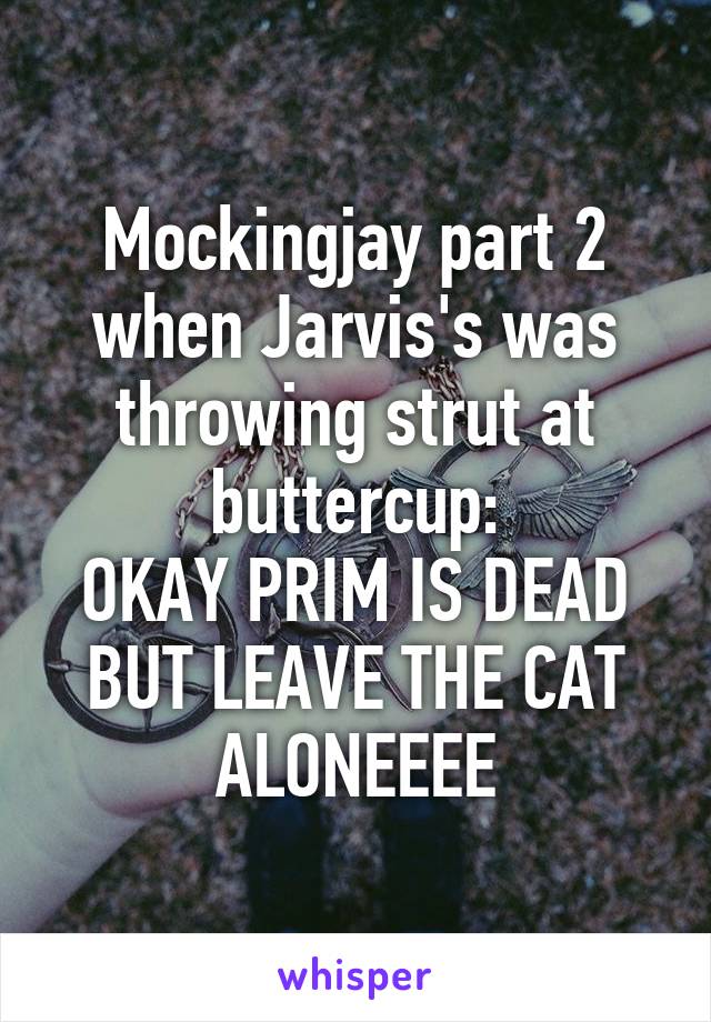 Mockingjay part 2 when Jarvis's was throwing strut at buttercup:
OKAY PRIM IS DEAD BUT LEAVE THE CAT ALONEEEE