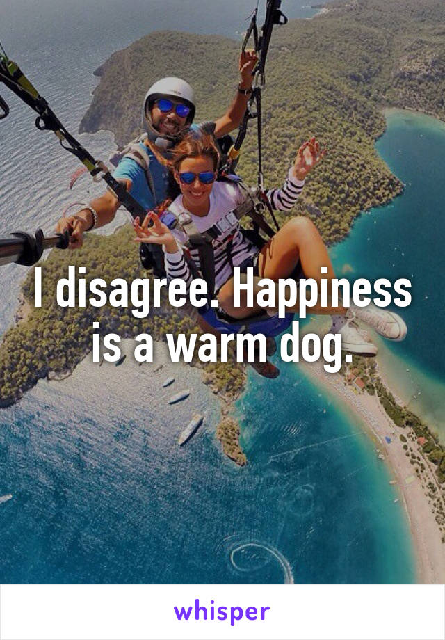 I disagree. Happiness is a warm dog.