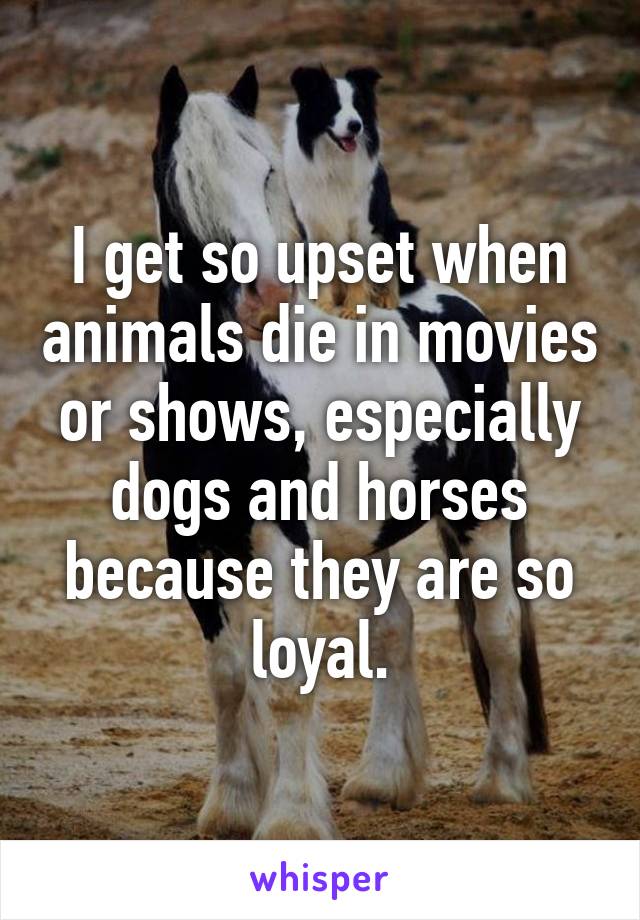 I get so upset when animals die in movies or shows, especially dogs and horses because they are so loyal.