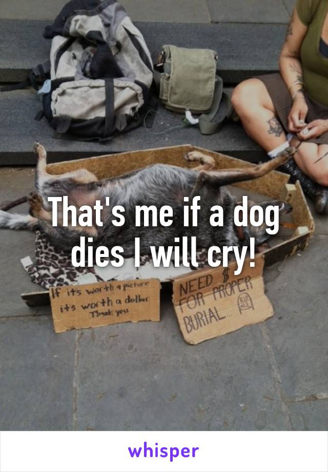 That's me if a dog dies I will cry!