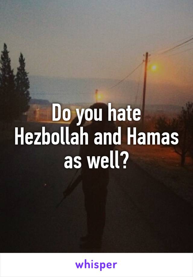 Do you hate Hezbollah and Hamas as well?