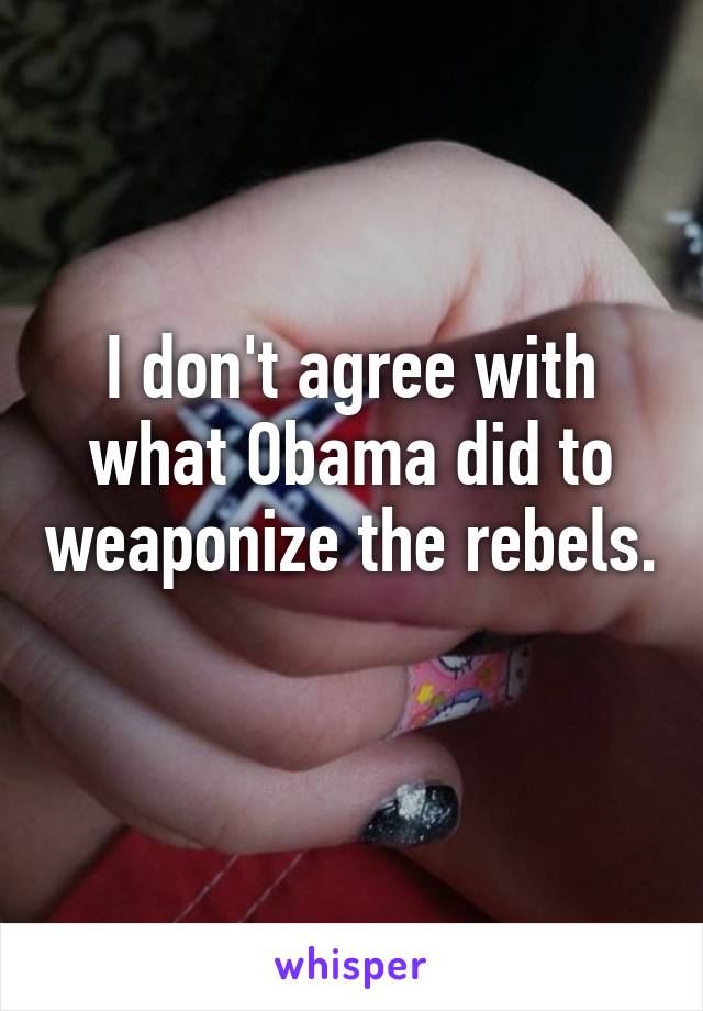 I don't agree with what Obama did to weaponize the rebels. 