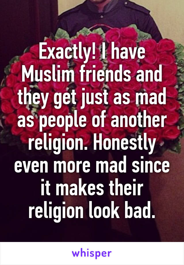 Exactly! I have Muslim friends and they get just as mad as people of another religion. Honestly even more mad since it makes their religion look bad.