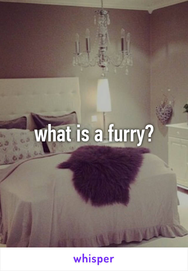 what is a furry?
