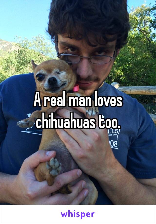 A real man loves chihuahuas too. 