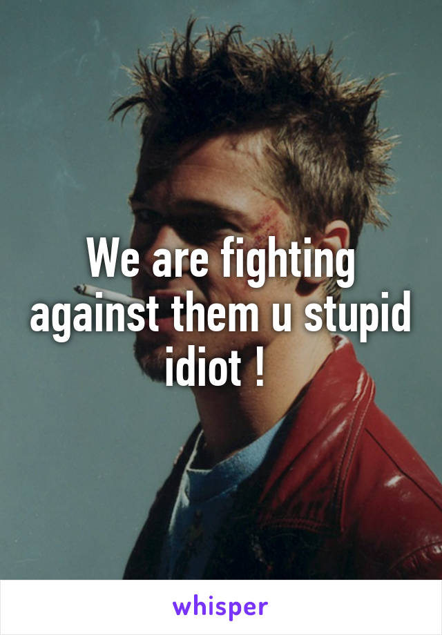 We are fighting against them u stupid idiot ! 