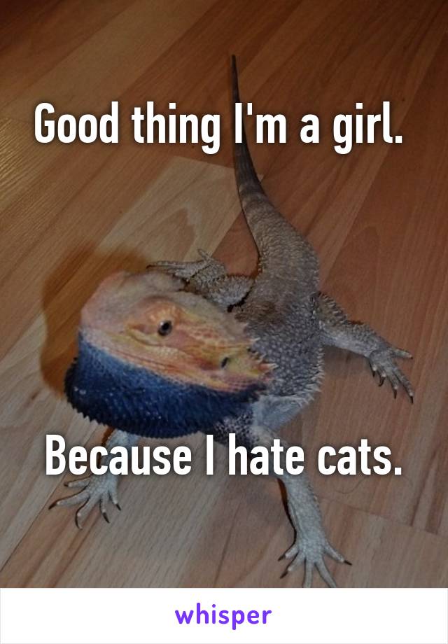 Good thing I'm a girl. 





Because I hate cats. 