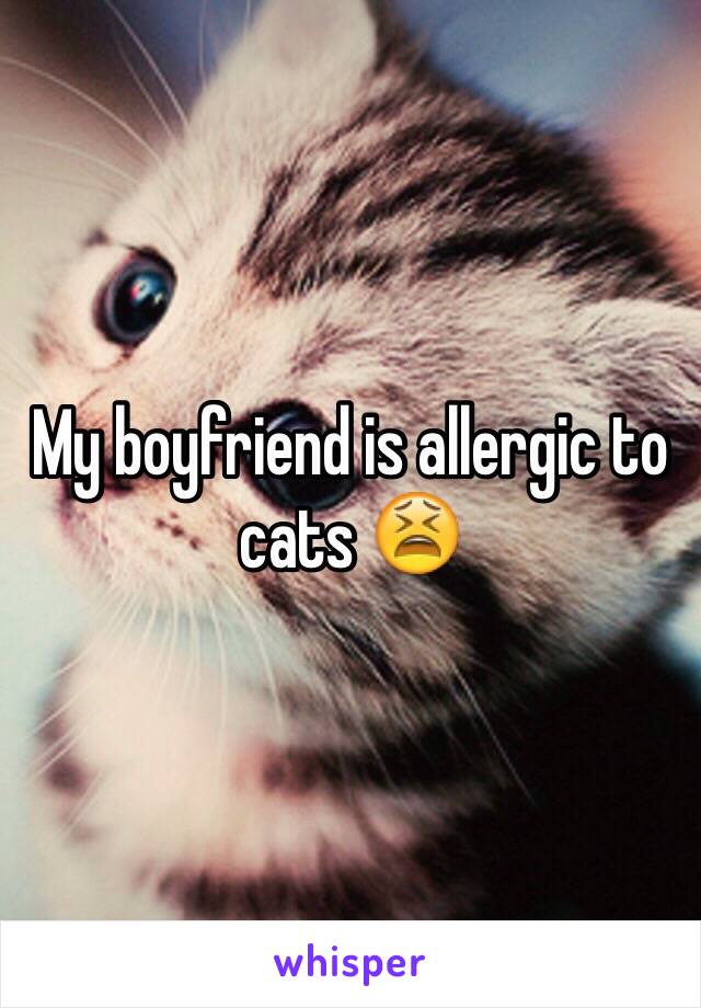 My boyfriend is allergic to cats 😫