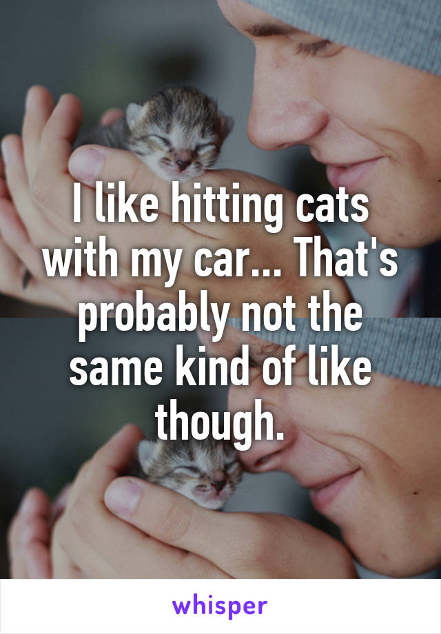 I like hitting cats with my car... That's probably not the same kind of like though.