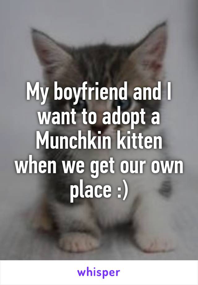 My boyfriend and I want to adopt a Munchkin kitten when we get our own place :)