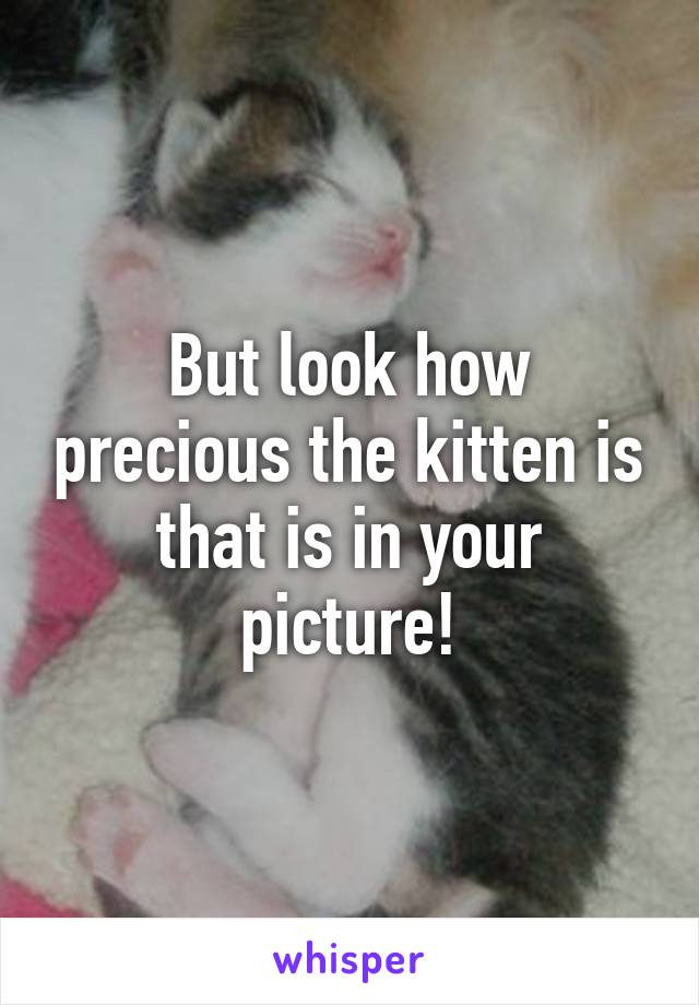 But look how precious the kitten is that is in your picture!