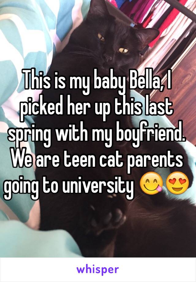 This is my baby Bella, I picked her up this last spring with my boyfriend. We are teen cat parents going to university 😋😍