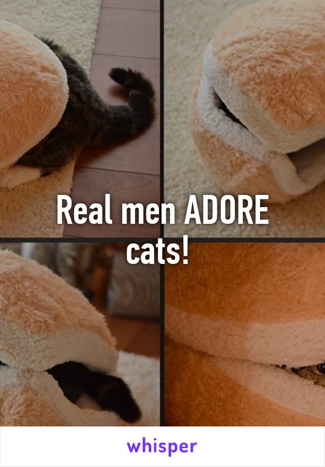 Real men ADORE cats! 