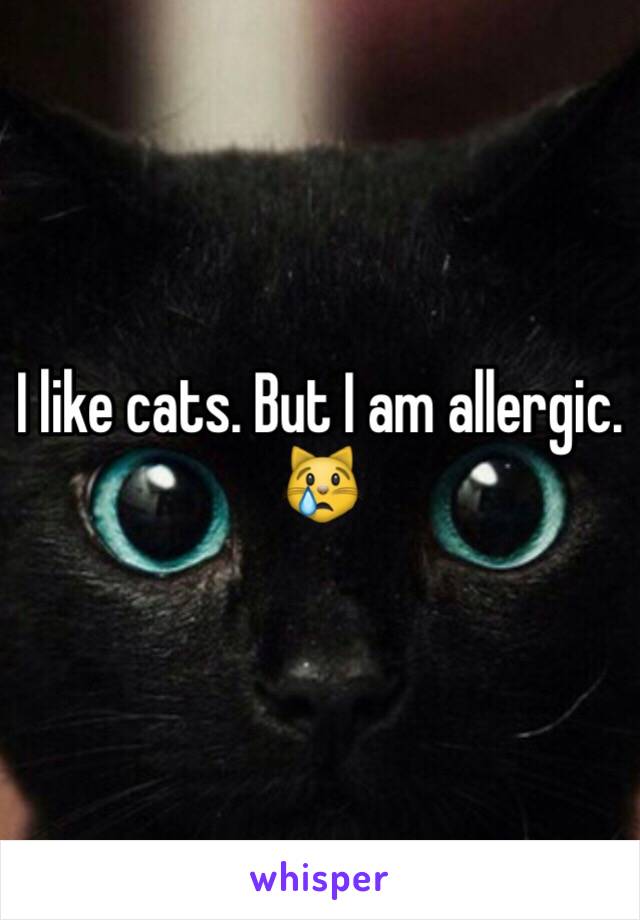 I like cats. But I am allergic. 😿