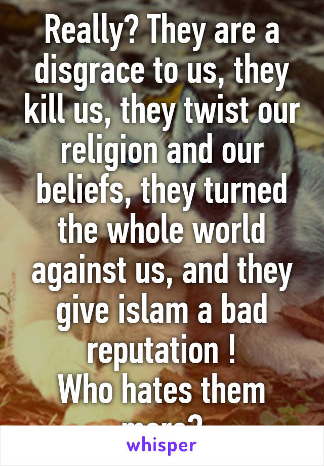 Really? They are a disgrace to us, they kill us, they twist our religion and our beliefs, they turned the whole world against us, and they give islam a bad reputation !
Who hates them more?