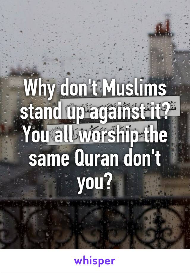 Why don't Muslims stand up against it? You all worship the same Quran don't you?