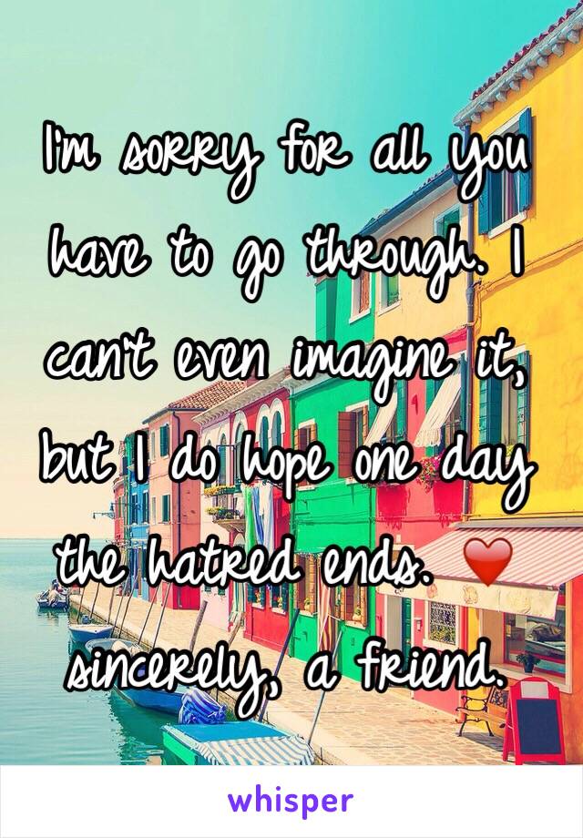 I'm sorry for all you have to go through. I can't even imagine it, but I do hope one day the hatred ends. ❤️ sincerely, a friend. 