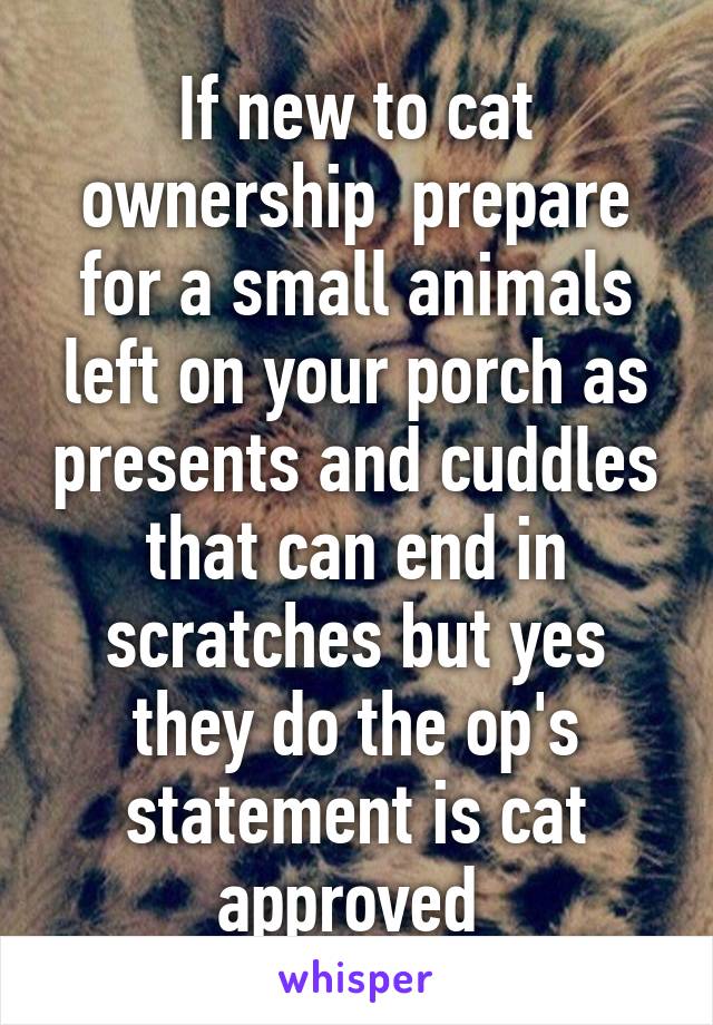 If new to cat ownership  prepare for a small animals left on your porch as presents and cuddles that can end in scratches but yes they do the op's statement is cat approved 