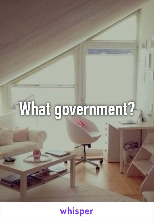 What government?