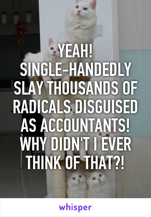 YEAH!
SINGLE-HANDEDLY SLAY THOUSANDS OF RADICALS DISGUISED AS ACCOUNTANTS!
WHY DIDN'T I EVER THINK OF THAT?!