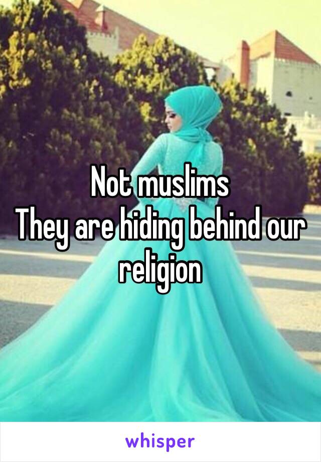 Not muslims 
They are hiding behind our religion  