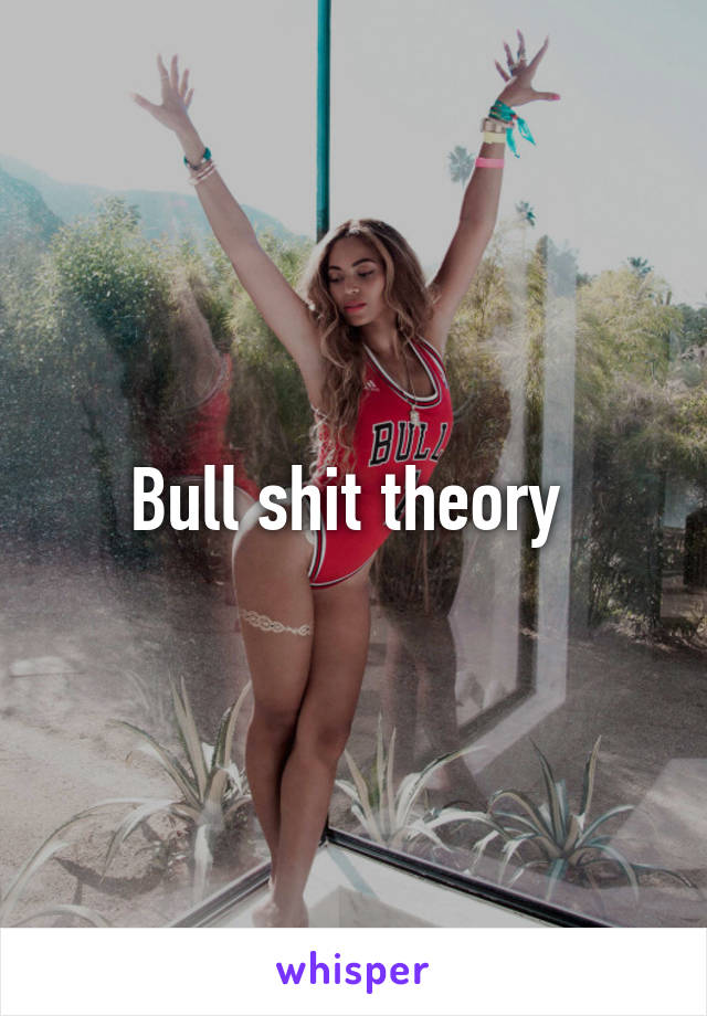 Bull shit theory 