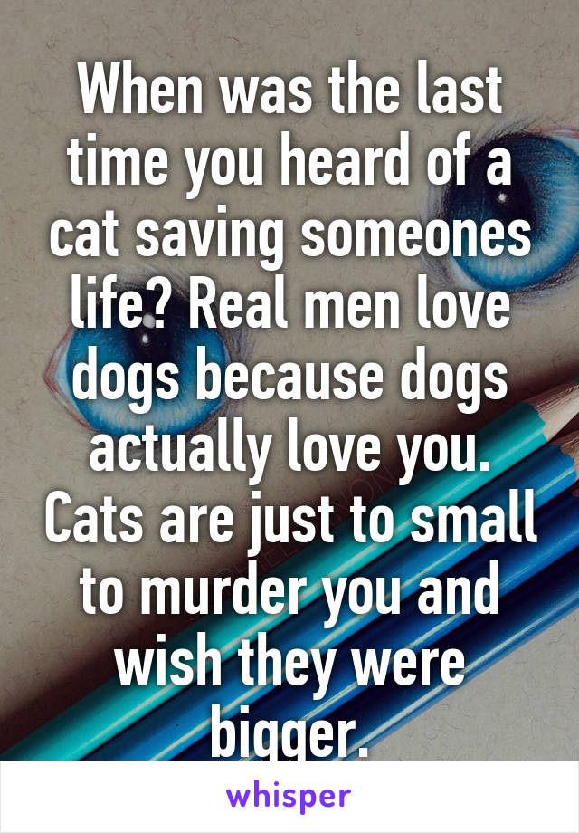 When was the last time you heard of a cat saving someones life? Real men love dogs because dogs actually love you. Cats are just to small to murder you and wish they were bigger.