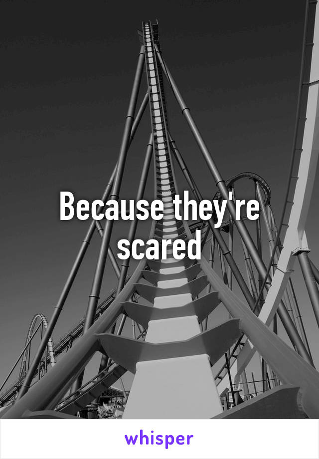 Because they're scared