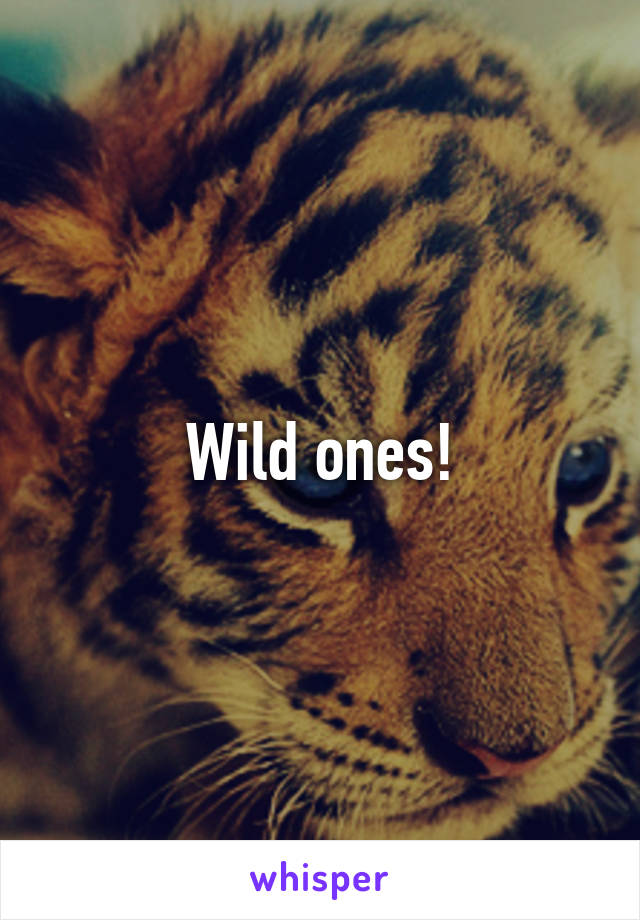 Wild ones!