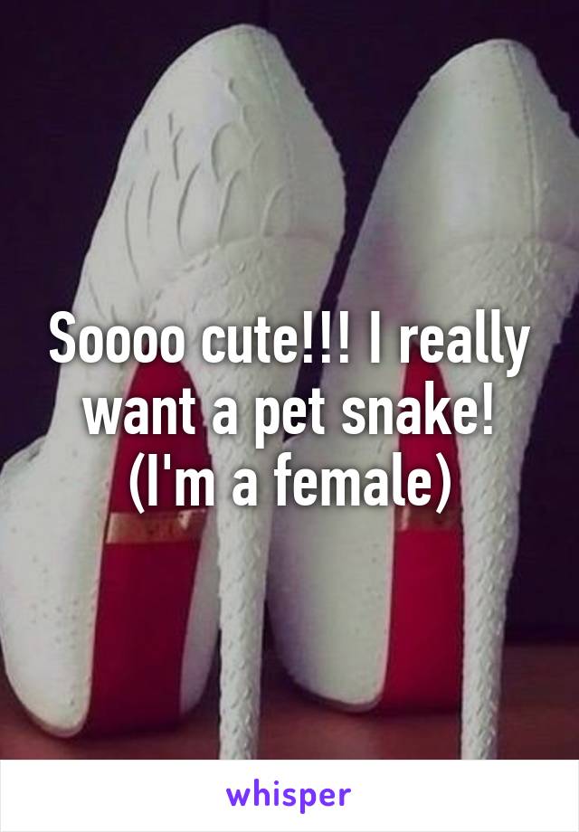 Soooo cute!!! I really want a pet snake! (I'm a female)