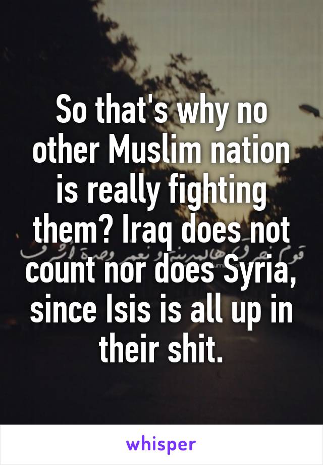 So that's why no other Muslim nation is really fighting them? Iraq does not count nor does Syria, since Isis is all up in their shit.