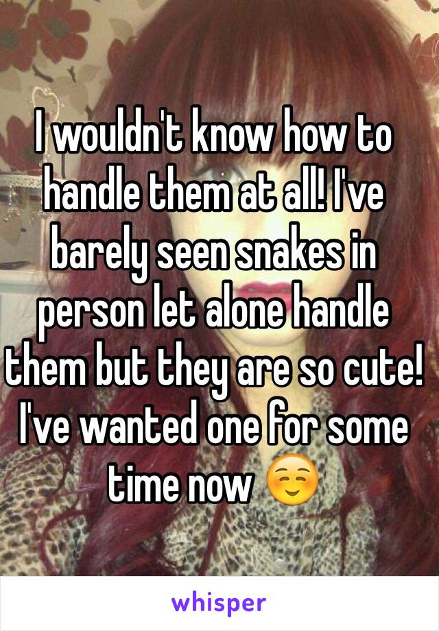 I wouldn't know how to handle them at all! I've barely seen snakes in person let alone handle them but they are so cute! I've wanted one for some time now ☺️