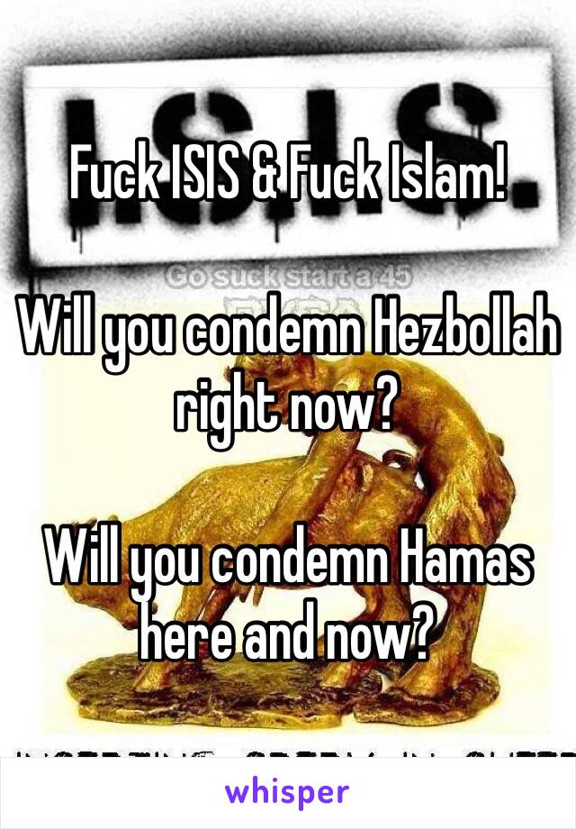 Fuck ISIS & Fuck Islam! 

Will you condemn Hezbollah right now? 

Will you condemn Hamas here and now?   