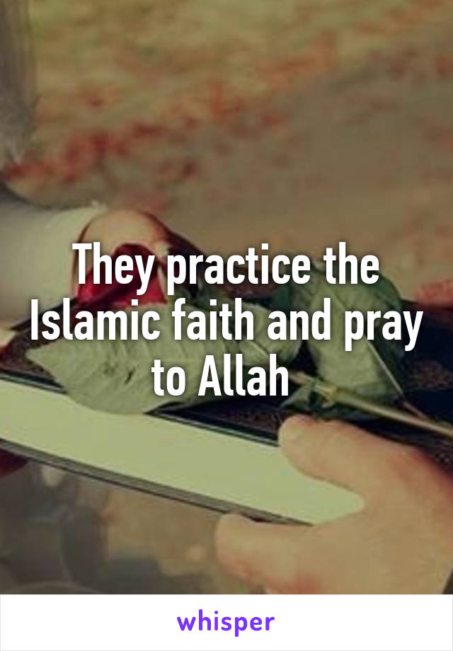 They practice the Islamic faith and pray to Allah 