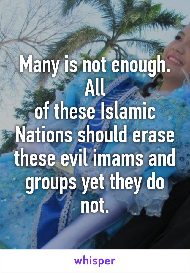 Many is not enough. All
of these Islamic Nations should erase these evil imams and groups yet they do not.