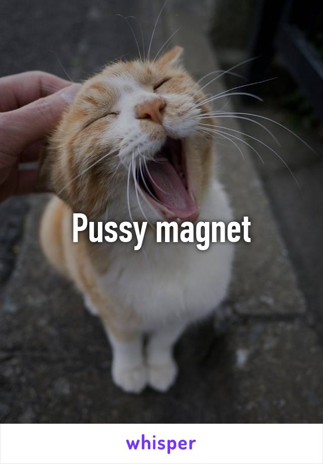 Pussy magnet