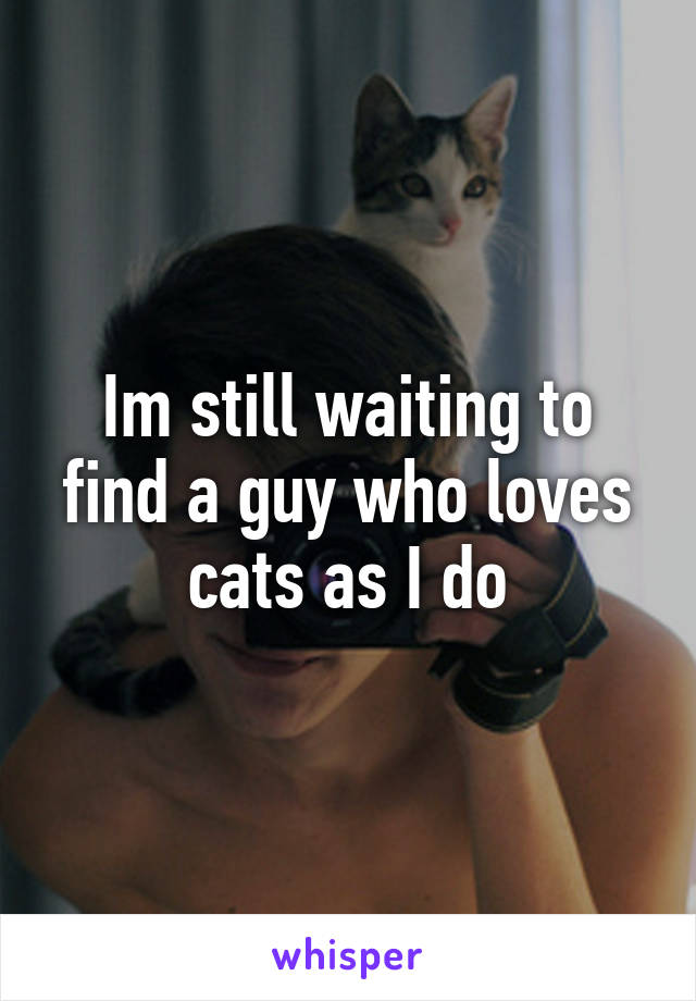 Im still waiting to find a guy who loves cats as I do