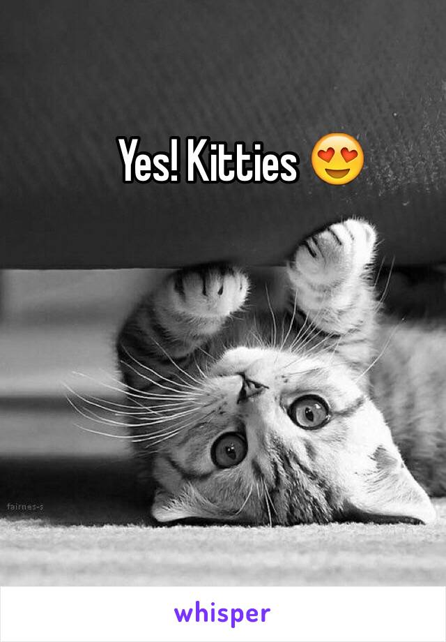 Yes! Kitties 😍