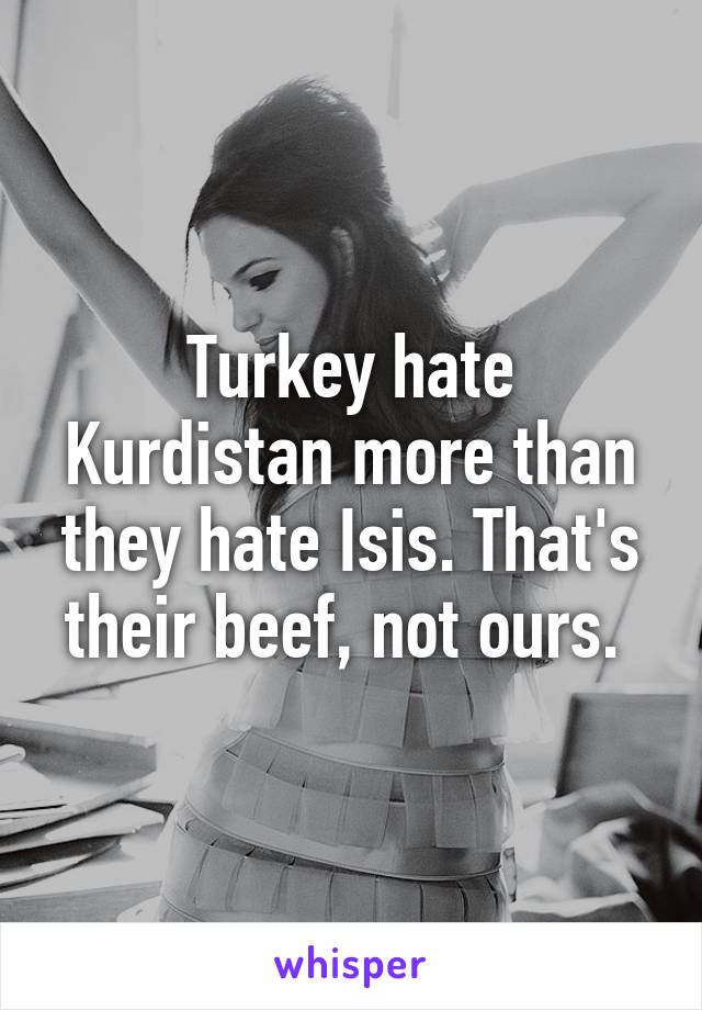 Turkey hate Kurdistan more than they hate Isis. That's their beef, not ours. 