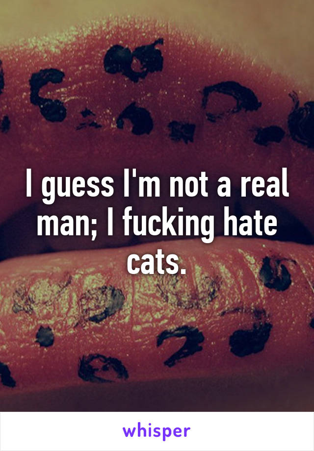 I guess I'm not a real man; I fucking hate cats.