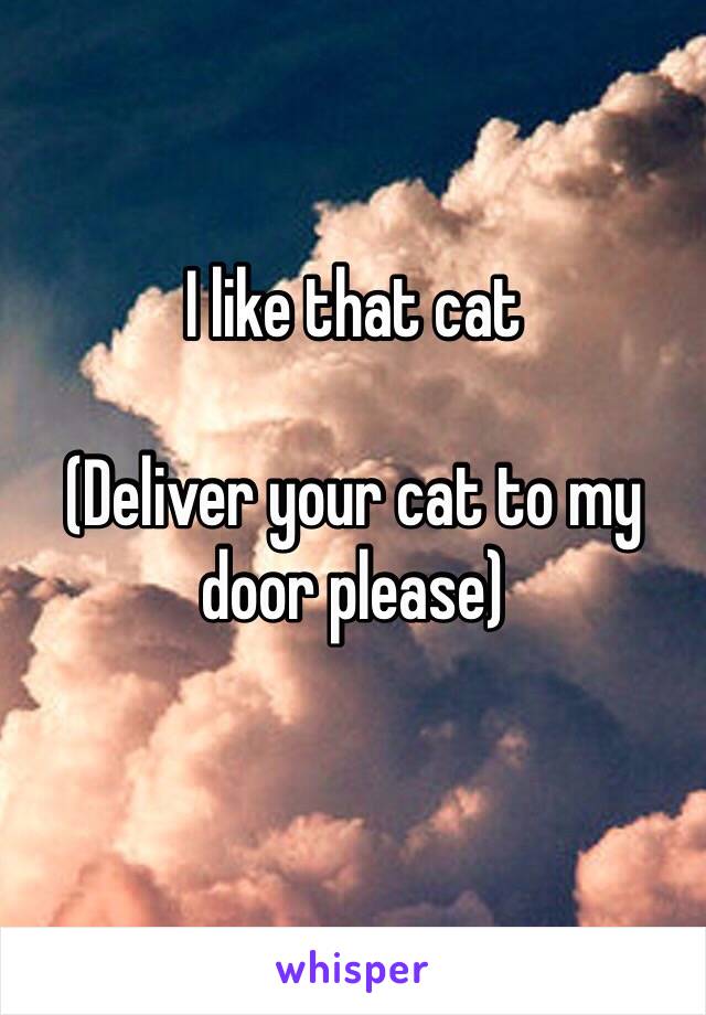 I like that cat

(Deliver your cat to my door please)
