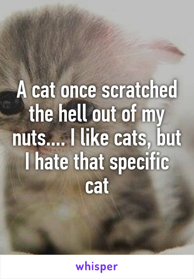 A cat once scratched the hell out of my nuts.... I like cats, but I hate that specific cat