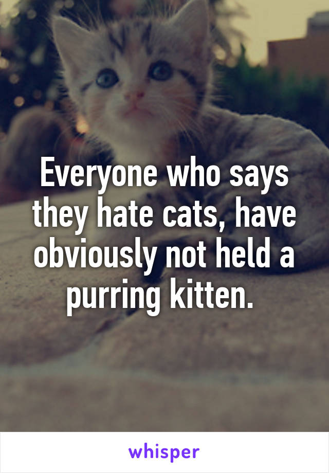 Everyone who says they hate cats, have obviously not held a purring kitten. 