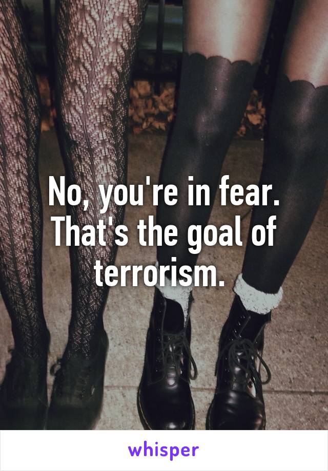 No, you're in fear. That's the goal of terrorism. 