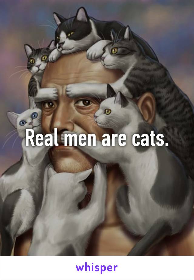 Real men are cats.