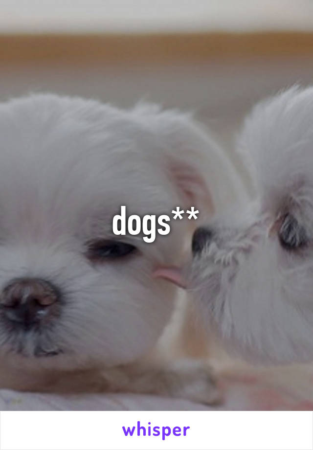 dogs**