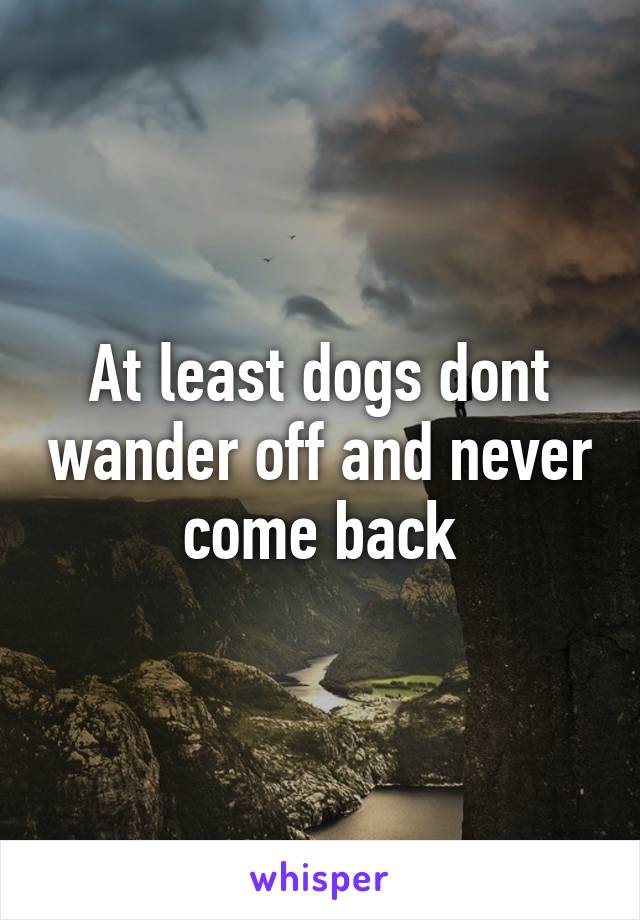 At least dogs dont wander off and never come back